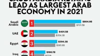 د/ عبدالرحمن خليل : مصر أقوى ثالث اقتصاد في المنطقة العربية طبقا لفوربس الامريكية